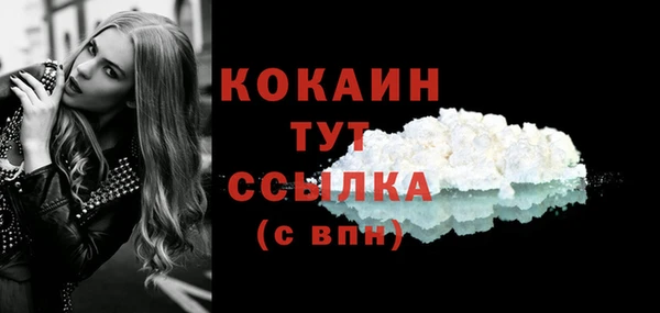 apvp Няндома