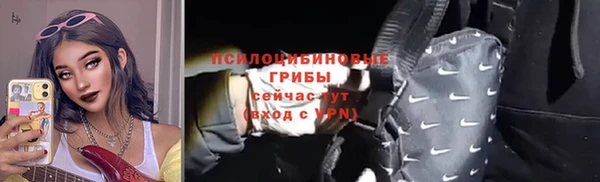 apvp Няндома