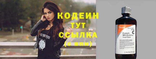apvp Няндома