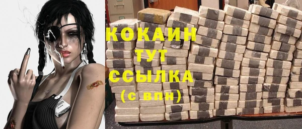 apvp Няндома