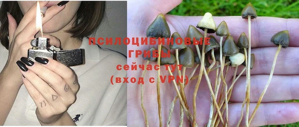 apvp Няндома