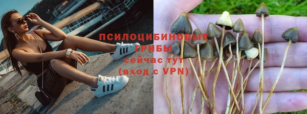 apvp Няндома