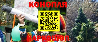 дурь Гатчина