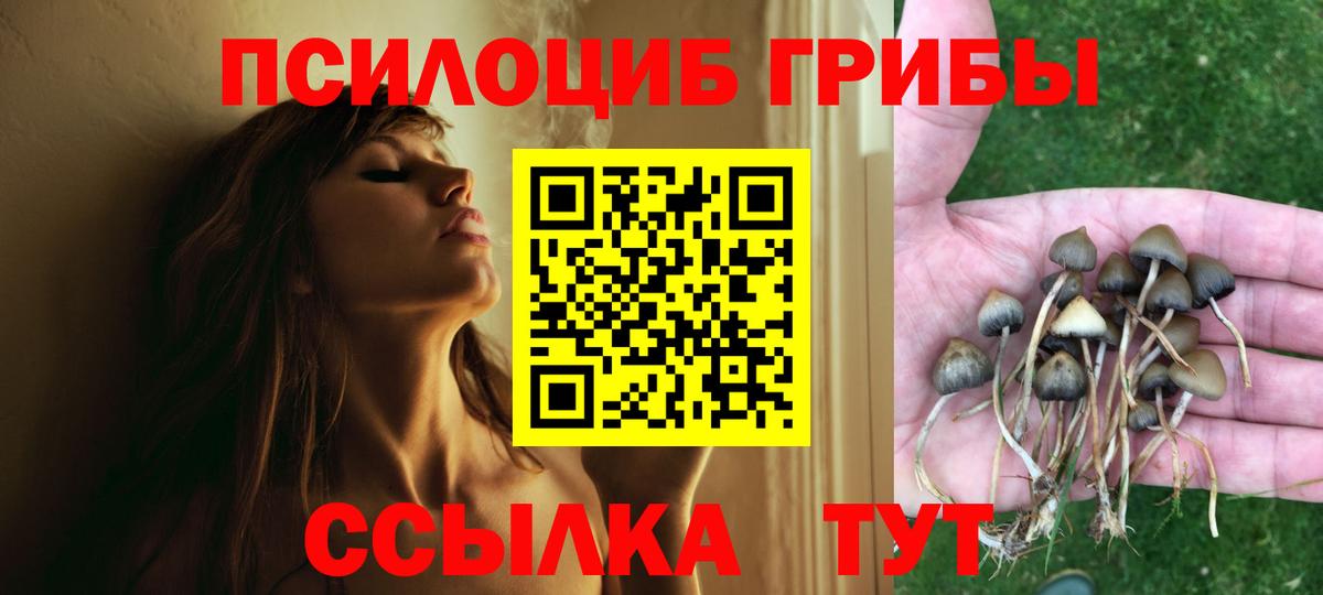 Галлюциногенные грибы GOLDEN TEACHER  магазин    Курган 